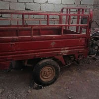 ستوته • دولفين • أوراق اصوليه