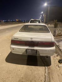 كرستا • ١٩٩٥ • بدون صبغ