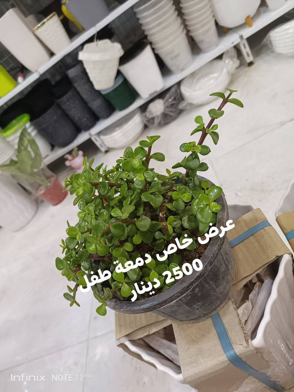 عرض خاص... ليوم الجمعة...الانبار الرمادي العزيزية مكان الجديد...من جهة شارع العام  شارع ميسلون  اول فرع على اليمين *********** ... يوجد توصيل داخل الرمادي. @الجميع
