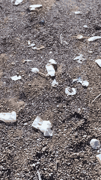 السلام عليكم ... 
قطعة ارض طابو ملك صرف للبيع المساحة 200 متر تقع في منطقة مزرفه وحصيوة توزيع الصوفيه . القطعة موقعها مميز ركن وعلى الشارع العام التجاري تبعد عن إطلالة نهر دجلة حوالي 500 متر كما موضح في الفيديو علمآ أن القطعه صادرة لها إجازة بناء والتحويل مباشر من صاحب القطعه سعر القطعة 105 مليون..
للاستفسار الاتصال على الرقم: ***********
ملاحظة . المنطقة يتوفر فيها كافة الخدمات ماء ومجاري وكهرباء
