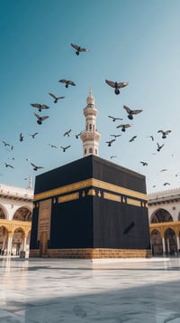 عمرة شهر 2 • تقسيط • دخول الروضة