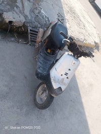 بوتين • للبيع