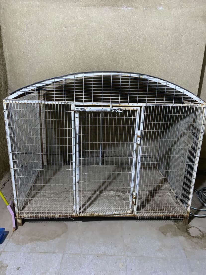 بيع مستعجل.. قفص السعر ٦٠ قابل للتفاوض التواصل الاتصال على الرقم ***********
