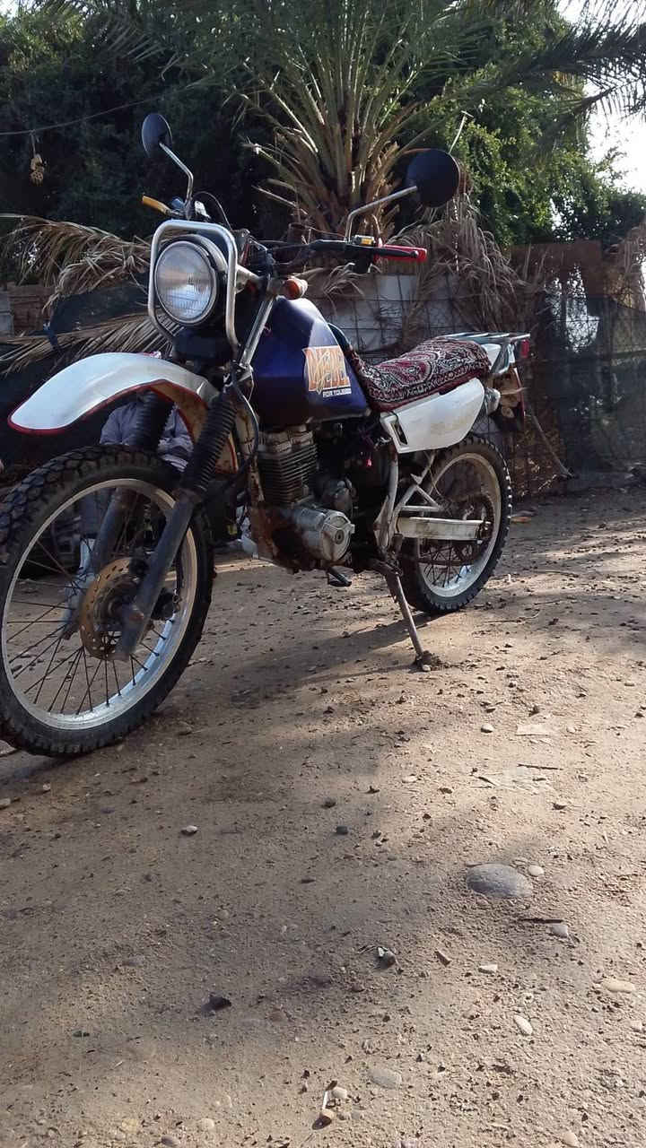 #الجميع
#البيع
التواصل على هاذ الرقم*********** مكلف بنشر
