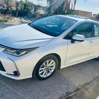 كورلا • ٢٠٢٣ • رقم اربيل