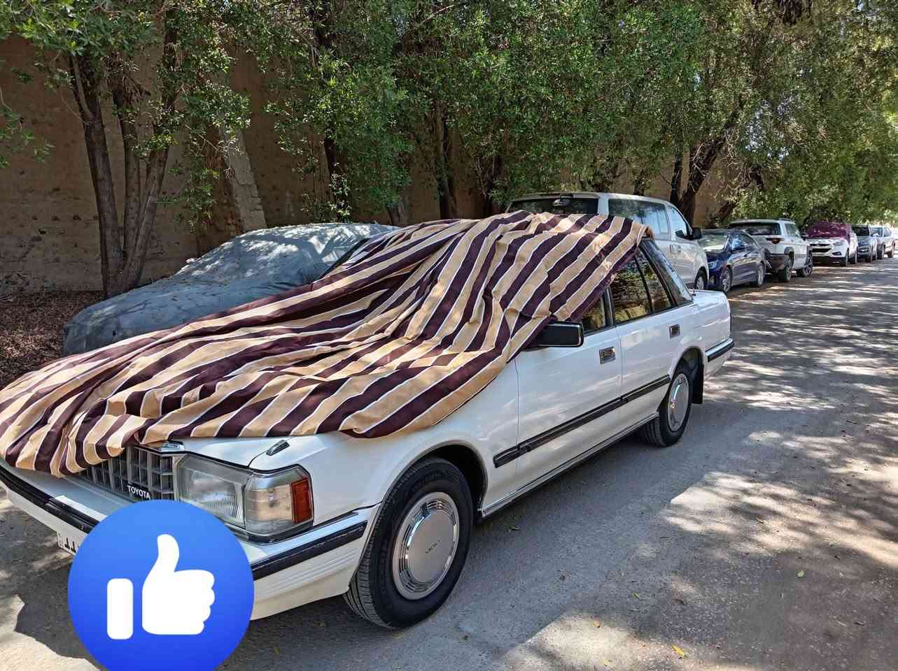 السلام عليكم ورحمه الله وبركاته اخوان سوبر للبيع موديل 1984 السياره كلها عالشركه كير عادي مكينه بلاديه تبريد 
اربع بيبان سنتر بلادي سياره ماشيه ٨٧

للأتصال

***********
***********
*********** 
***********
***********
