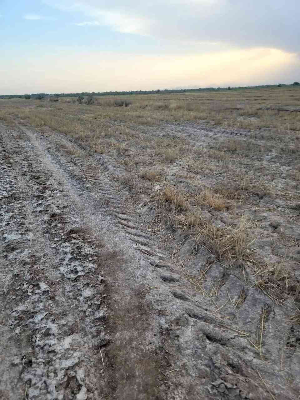 للبيع 5دوانم زراعي على شط الحلو نهر الوفاء متوفر شارع مع شاطي (كرمه)
يصلح الزراعه والدواجن وزراعة النخيل 
العنوان سديناويه /ناحية أور 
الاستفسار اكثر 
***********
