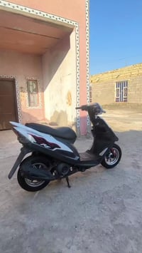 ماكس • نضيفه • واحد