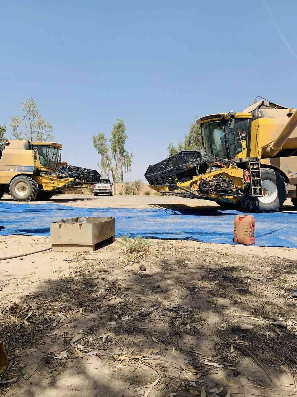 السلام عليكم حاصدة للبيع موديل 2020
خمسة بلم اوربي فول مواصفات حجم 5.90  للاستفسار الاتصال برقم ***********
