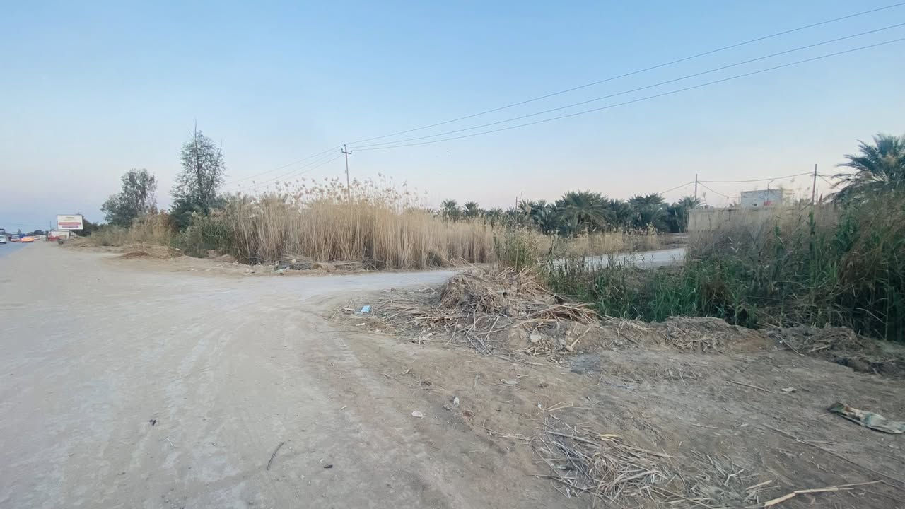 السلام عليكم قطعة طابو صرف 
للبيع طريق سومر دغارة بمساحة314م عن الشارع العام 60م السعر45 الاستفسار ***********
