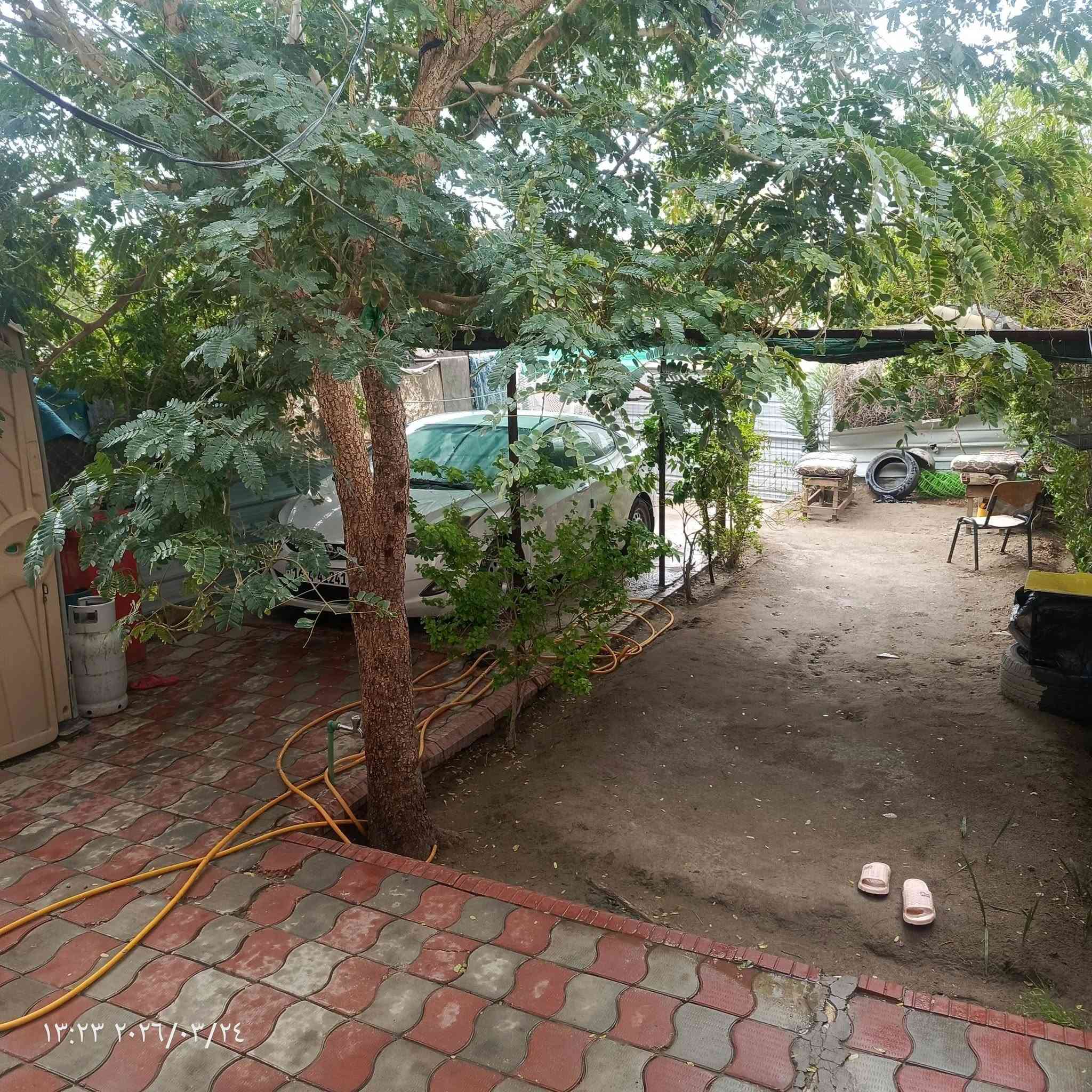 سلام عليكم بيت للبيع حي النداء المساحه 65.مربع عل ساحه المطقه بل 50الف البيت طابقين يحتوي عل استقبال 3اونص ف5..اصاله 5ف4...5ف3..مكشوفه 3في .متر اونص...مطبغ حاار بارد الطابق الئرضه...الطابق الثاني غرفتين وصاله مساحه الغرفه 4ف5..الصاله 3ف3..وحده من الغرفه.بيهه.اسويته...السعر 70مع المجال الاتصال عل واتساب او رقم.***********
