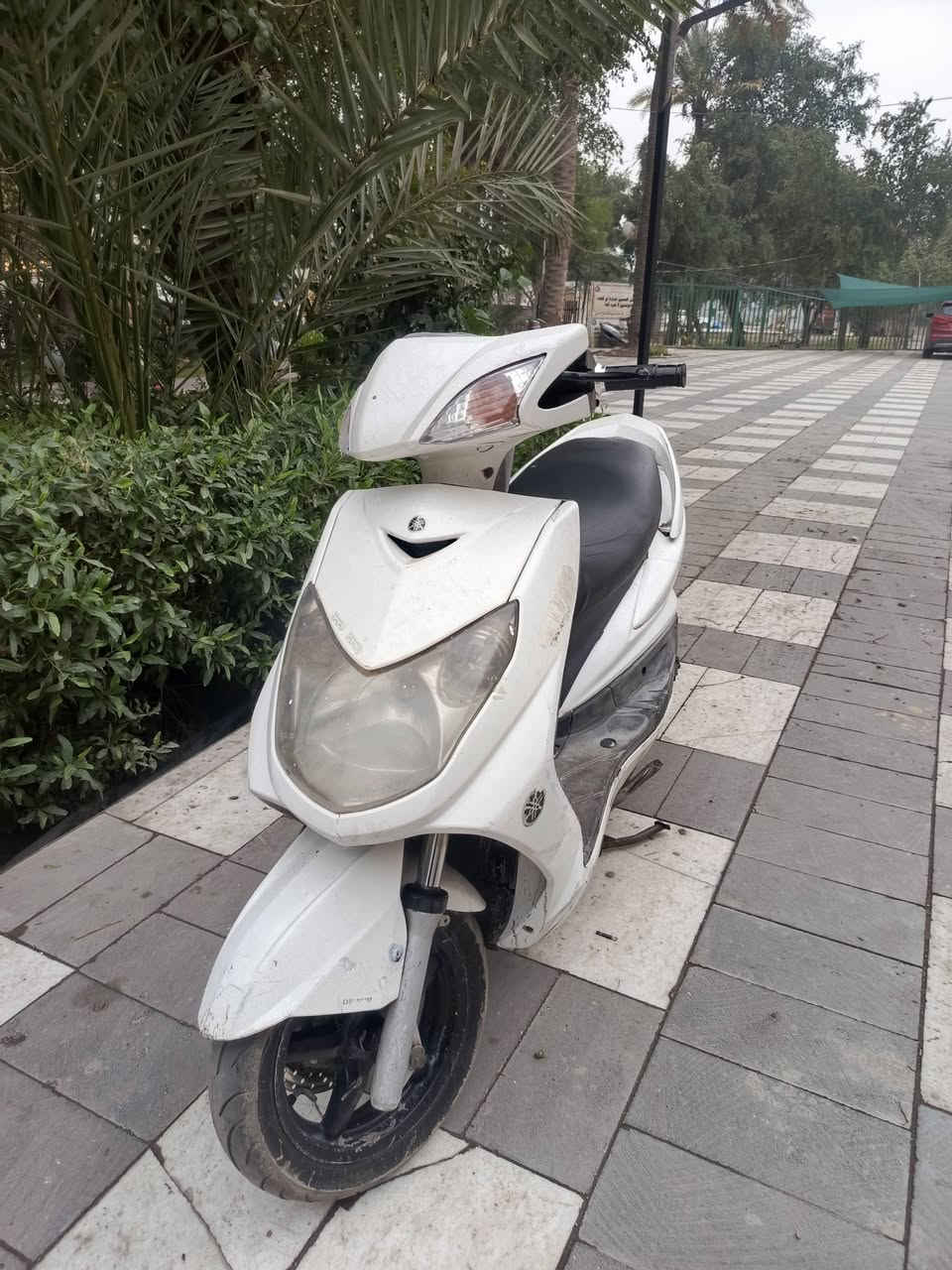 اسلام عليكم سكنس فحل كابريتر دراجه نضيفه نكره سلف كلشي شغال بيهة دراجه جدااا نضيفه للبيع السعر 700 وبيهة مجال بسيط مكاني بغداد زعفرانيه ‏‪***********‬‏
