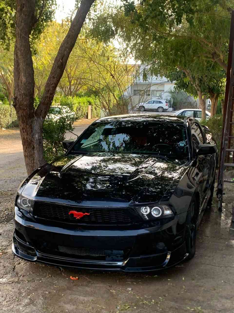 فرۆشتن یان گۆرینەوە
مۆستانگ دوبەی ساخ 
مەکینە مەرخوب ٣.٧ 
گێج لیزەر 
گێڕ تۆماتیک
لەحیە و باڵی سەرسنوق RTR 
لایت عەدەسە و لیزەر
ساڵۆنسای بیلاد سیستەم و ستیل سەوتی تایبەت
گێر و مەکینە و کارەبای بەشەرت 
بەنزین زیاد لەحەد کەم دەخوا 
تایەو ویلی تازە
مشتەریت تەلەفون بکە لە خزمەتام
*********** کەلار كالار, السليمانية
