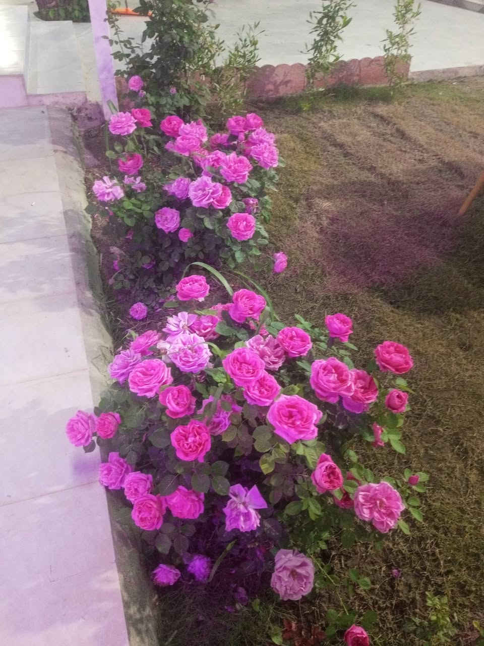 متوفر حجز مزرعة ومنتجع أمارليس قضاء بلد الاتصال على الرقم او المراسله على الواتساب
***********
***********
موثقه بتطبيق اجرلي 

السبت  ومسائي 
الاحد صباحي ومسائي 
الاثنين صباحي ومسائي 
الثلاثاء صباحي ومسائي 
الاربعاء مسائي وصباحي 
الخميس مسائي وصباحي 
الجمعة صباحي ومسائي

