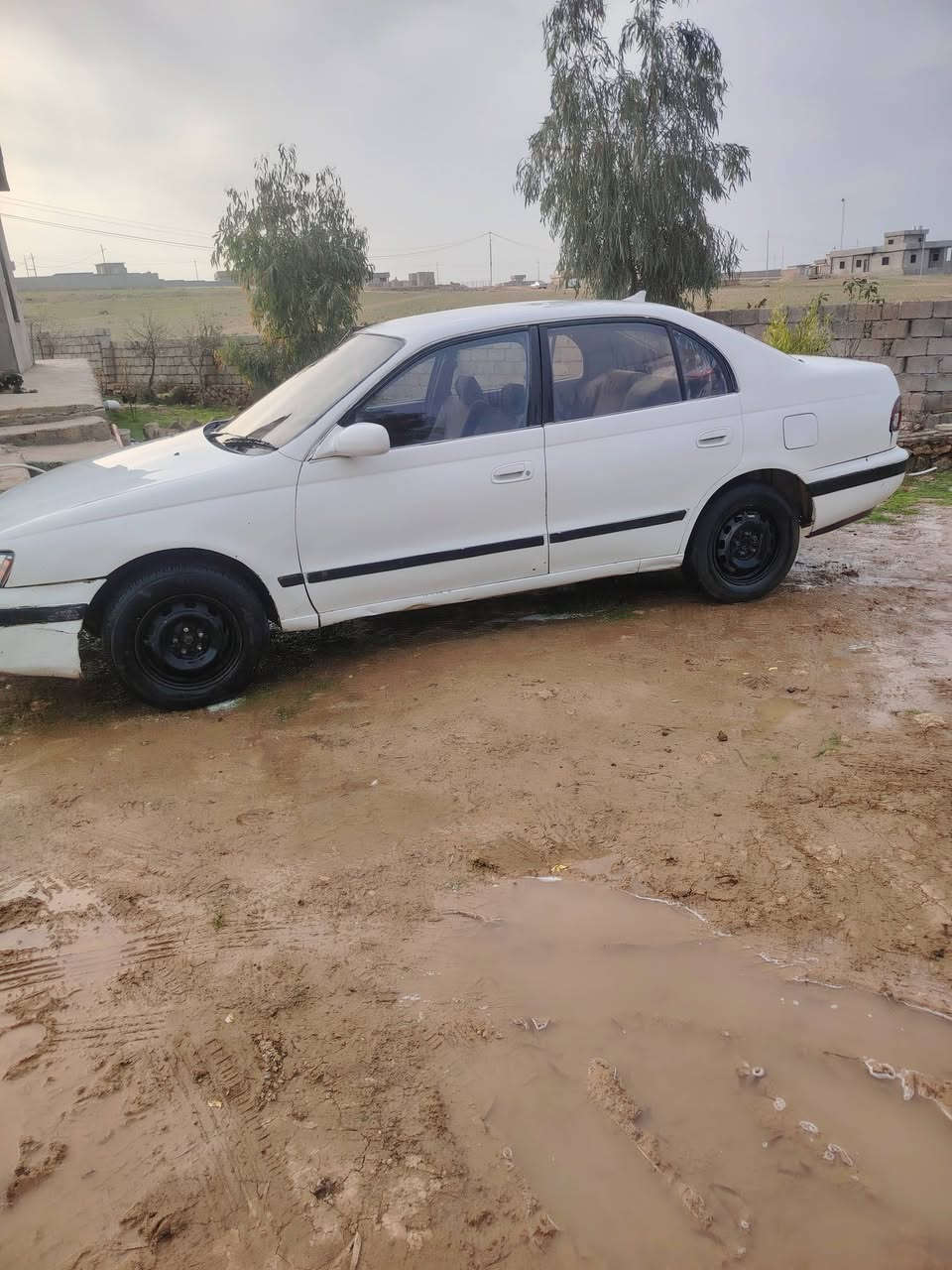 فرخ بطه للبيع موديل 94 شرط التحويل رقم انبار گير ومحرك شرط السعر 30  وبيها مجال قليل *********** مكان السياره ناحيه الشوره قرية العين والصفيه
