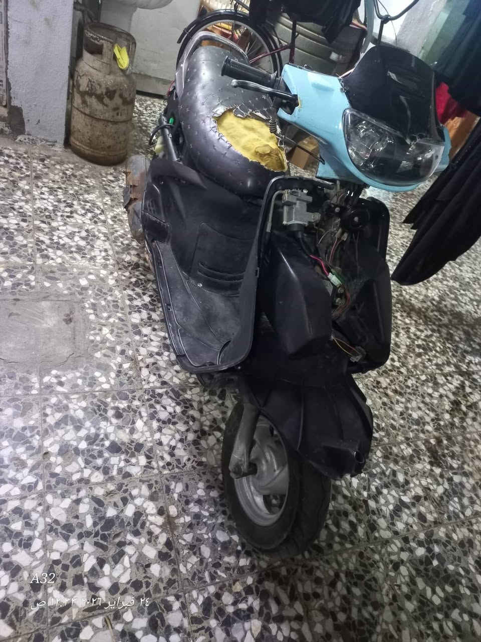 فراشه للبيع فحل كامله تخبل نكره سلف ماعايزه سعر خاص او اتصل *********** مكان نجف
