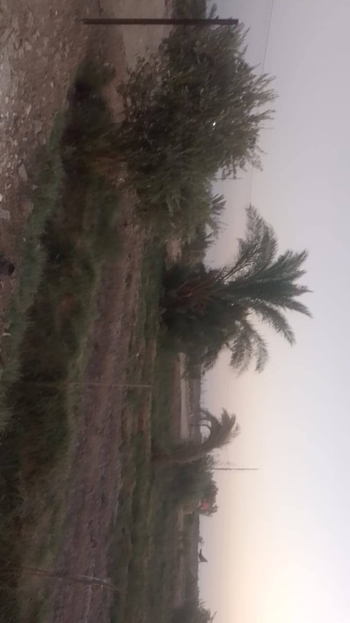 سلام عليكم مزرعه للبيع مساحه 2 دونم مع بيت مع حقل 250 متر بناء حديث مع ديوانيه 12 متر على شارع ابو الماش بيه ماي وكهرباء بيت بناء حديث مكان ذي قار قضاء الرفاعي على طريق ابو الماش رقم راعيه *********** مكلف بل نشر ما ارد خاص بدون احراج
