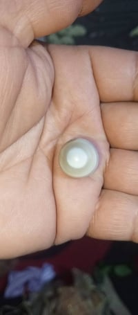 حجر عطف سليماني للبيع شرط الشغل 07780339272