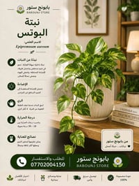 الموصل • نباتات طبيعية • مستلزمات زراعية
