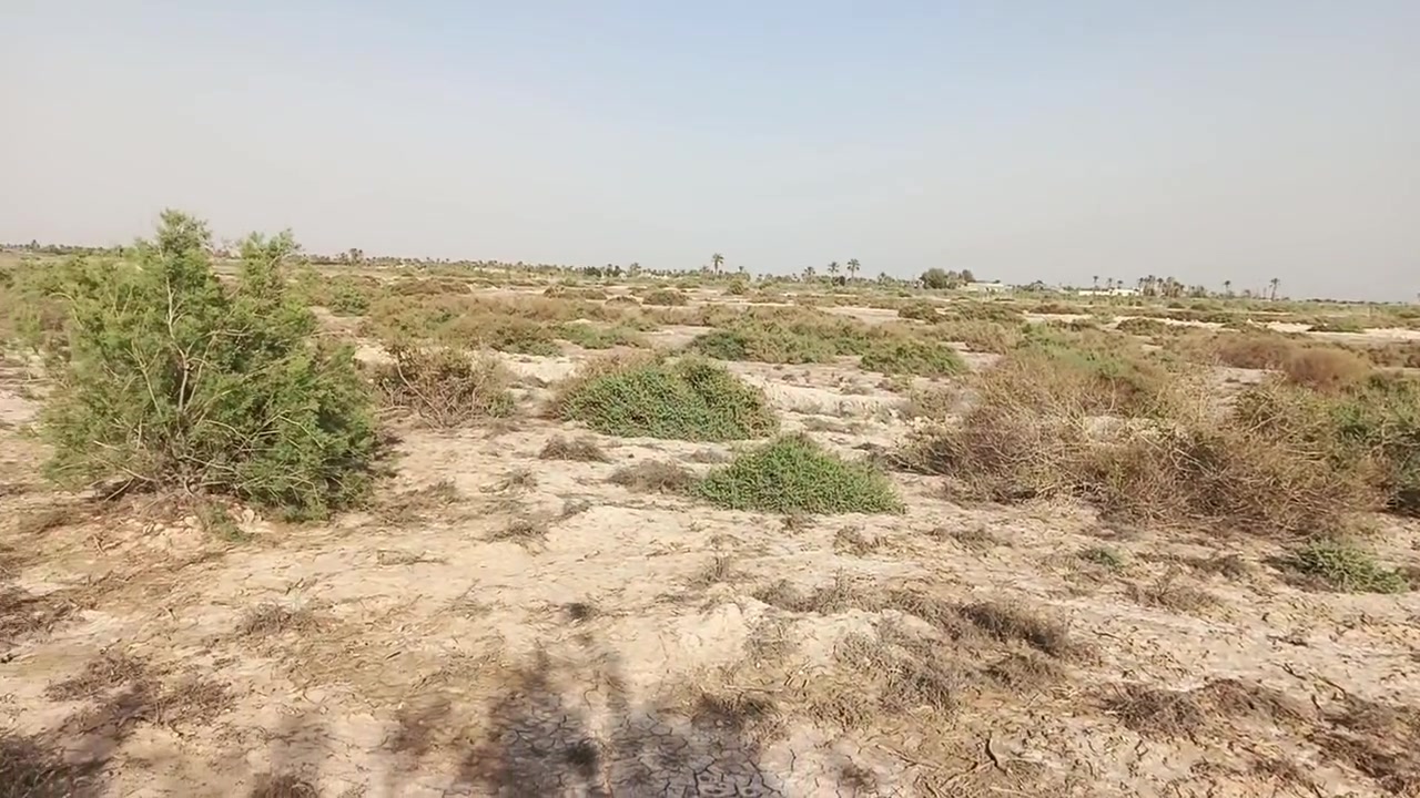 اعلان عرض عقاري (ارض زراعيه)
العنوان: البصره قضاء الهارثه فرصه استثمارية 
🌴
التفاصيل: 
•المساحه الاجمالية: 23دونم
•نوع القعار (طابو زراعي (سند 25) حق التصرف تحويل باسم المشتري حصرا
المميزات: 
✅واجهة عريضه جدا تصلح لمختلف المشاريع
✅تربه وموقع مثالي للاستثمار الزراعي او المستودعات 
الاستفسار أكثر اتصال📞علرقام تاليه
 وتساب فقط***********
اتصال فقط ***********

