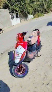 ماكس • نضيفه • بصره قضاء المدينه