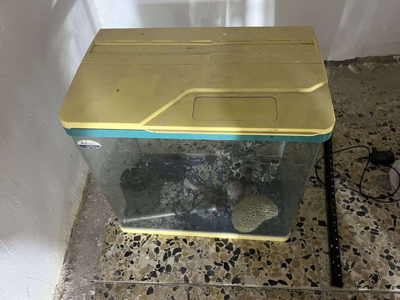 جلسه سفنج عالي نظيفه كلش 4امتار مع زاويه السعر150 وبيه مجال حوض سمك العرض48والارتفاع45 مع كامل ملحقاته السعر 50الف العنوان البصره القبله ***********
