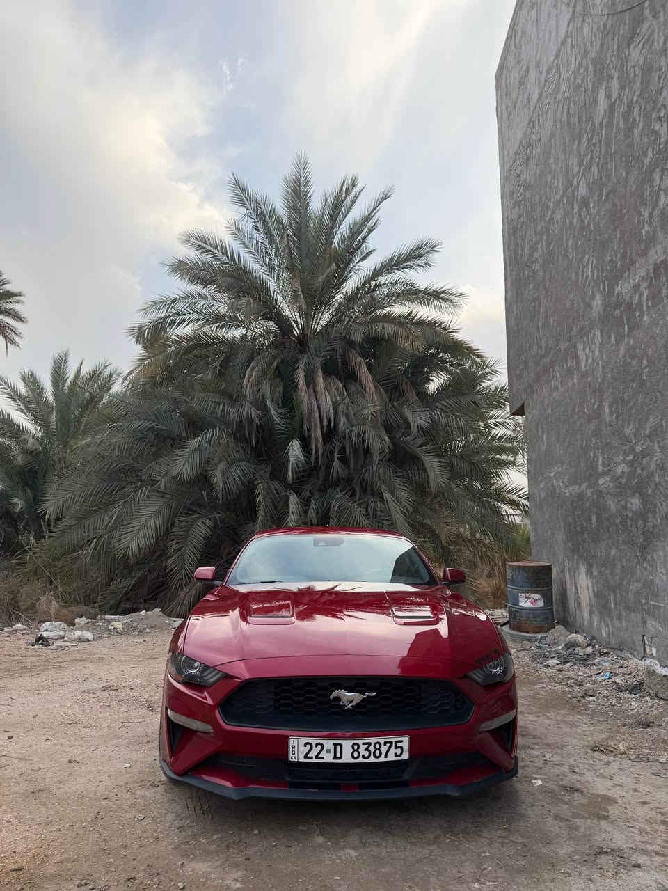للبيع | Ford Mustang EcoBoost 2021 🇺🇸

🔹 المحرك: 2.3L EcoBoost Turbo
🔹 القوة: 310 حصان
🔹 عزم الدوران: 475 نيوتن.م
🔹 ناقل حركة: أوتوماتيك 10 سرعات
🔹 نظام الدفع: خلفي (RWD)
🔹 الجنطات: 19 إنج (كبس)
🔹 وضعيات قيادة متعددة (Normal / Sport / Track / Snow-Wet)
🔹 شاشة لمس مع Apple CarPlay & Android Auto
🔹 كاميرا خلفية وحساسات
🔹 مثبت سرعة
🔹 تشغيل بصمة (Push Start)
🔹 دخول ذكي (Keyless Entry)
🔹 إنارة LED
🔹 مكيف ممتاز
🔹 السيارة نظيفة وجاهزة للاستخدام

📍 الموقع: كربلاء

✅ بيها قطعتين بدون دواخل
✅ تفحص بأي مكان يختاره المشتري
✅ غرامات 51 ورقة، تنزل من سعر السيارة
💰 السعر: 17,500 دولار قابل للتفاوض بالمعقول

📞 *********** كربلاء, العراق
