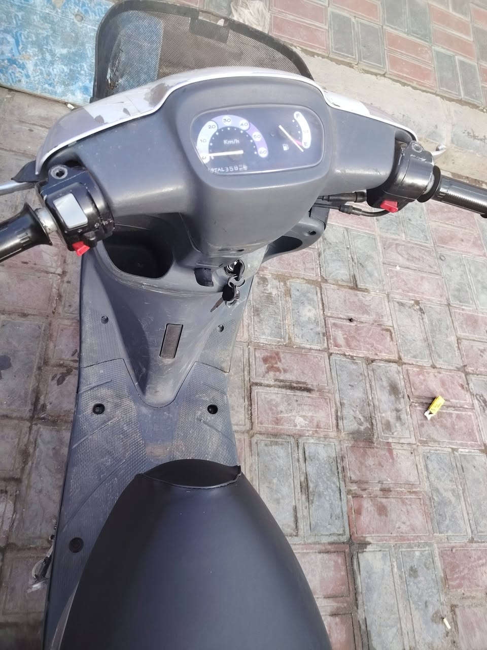 منغولي كامله كله شغال لا صوت كير ومكينه كلش ناعمه دراجه حيل نضيفه اشاير هورن سلف بكلايت كله كامله سعر ٣٢٥ وبيه مجال بصيط بس حيل نضيفه الدراجه مكاني كربلاء حي السلام رقم ***********
