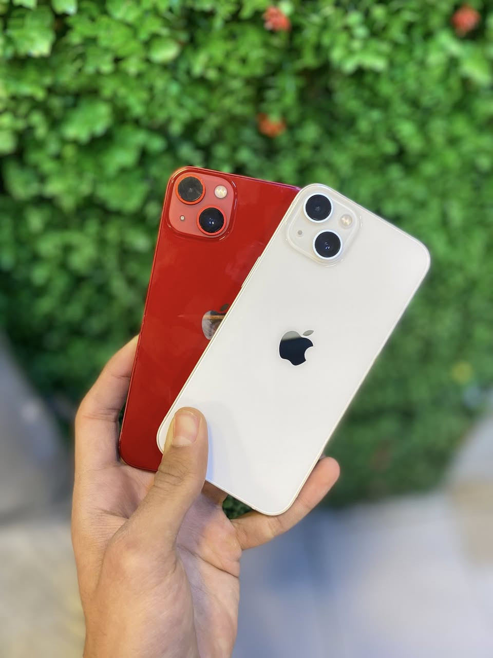 ايفون 13ذاكره 128 بطاريه 82 و87 اجهزه كفاله عامه ممبدل بيهن شي وتربروف مع ضمان عنواني بغداد العطيفيه سعر القطعه( 375 ) قفل ركز بدون اي عمله للتواصل علرقم ***********
