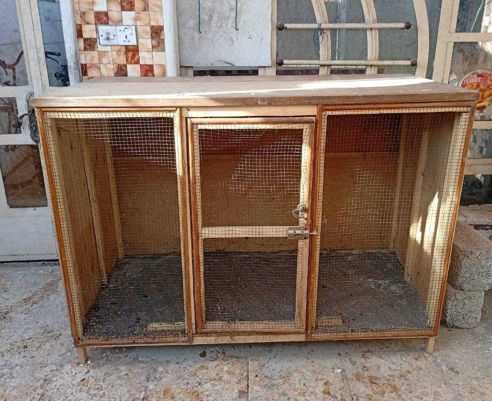 قفص دجاج خشب باونتي عرض متر وطول مترين ونص سعره ٨٠ الف


**إذا كنت صاحب هذا الإعلان وتريد حذفه لأي سبب، رجاءا أرسل رسالة إلى الدعم الفني**