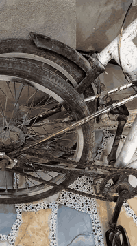 بايسكل للبيع سعره 25
المكان طويريج السياحي 
الرقم ***********
