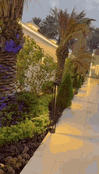 سلام عليكم يوجد لدينا مزارع اليجار في البوعيثة بسعر ***********مناسب موثقة بتطبيق اجرلي ا التواصل وتصلح المناسبات مي حار
