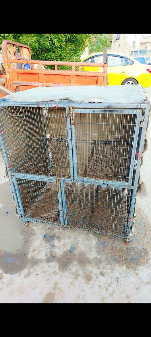 سلام عليكم قفص حديد تزكام شخاط قوي بابين المكان ميسان ***********
