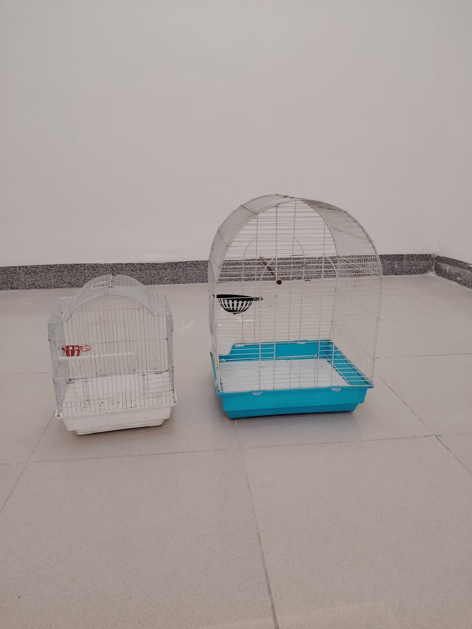 سلام عليكم
عندي ذني الاقفاص اريدهن ثنينهم ب25 وبيهن مجال
مكاني كربلاء الشراي يراسلني خاص


**إذا كنت صاحب هذا الإعلان وتريد حذفه لأي سبب، رجاءا أرسل رسالة إلى الدعم الفني**