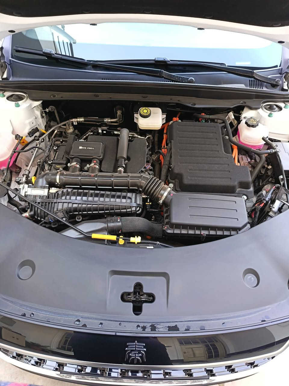 السلام عليكم ورحمة الله وبركاته
كن بلاص 2025  كفاله رقم بغداد باسمي اغراضها كامله شاشه محدثه  منزل برامج كامله ويز مباشر وكلشي تمام للبيع قفل من الاخير 19 و100 مكاني بغداد ***********
