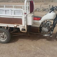 ستوته • كلك • ٢٠١٩