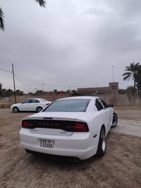 جارجر 2011 • رقم شمالي • صبغ