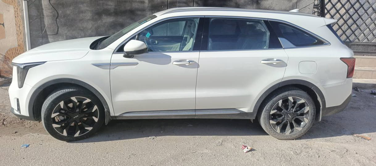 ‏السلام عليكم سورنتو خليجي 2024
‏كفاله عامه
‏ماشيه ٥٥ الف
‏الشكل الجديد
ويل كب ٢٠
‏رقم بابل سنويه باسمي 
‏6سلندر
‏فول مواصفات 
‏حساس خلفي
‏حساس امامي
‏كشن كهرباء
‏تشغل عن بعد
‏لد امامي وخلفي
‏مري شفط ترحيب
‏كامره دواره
‏سايد ابريك بصمه
‏شاحن الجوال
‏نظام قياده
‏مانع انزلاق
‏مانع انحدار
‏اوتو هولد
‏تبريد شاشة
‏شفتات استيرن
‏تبريد 3قطع
‏لد ليزري
‏كشن أوف ايت
‏جنطه كهربائية
‏بردات بلادي
‏دخول ذكي 
‏وبعد هواي مواصفات 
السعر ٣١٠ اتصل وبيك خير ودلل 
‏تحويل نفس اليوم للإتصال
‏مكاني بابل ***********
