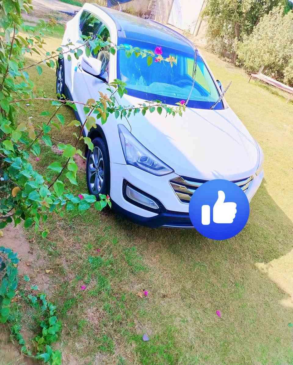 السلام عليكم
للبيع سنتافي خليجي 2013 فول مواصفات 1/1 

مكينه 6 سلندر مكفوله من كلشي.  بلادي كير حداديه كله مكفول فقط شبر في جاملغ الامامي  

سيارة جناي مامخلي بيها شي كامله

مكان السياره بغداد 

رقم بغداد 

مواصفات:الفول 1/1

1_فور ويل +مانع انزلاق

2_حجم المحرك 6سلندر 

3_تبريد تدفئه 

4_كشنات جلد 

5_بانوراما

6_تحكم استيرن (4 تحكمات ستيرن)

8_تبريد تدفئه 

9_شباك نيكل 

10_شاشة ترحيب 

11_يدات نيكل

12_شاشة اعطال

16_مري جانبيه شفط كهربائي

17_ويل كب كروم

19_بصمات تشغيل عدد 2

20_بصمات ابواب عدد 2

21_إشارة ترحيب باليدات عند الاقتراب 

22_كشن كهرباء

24_كاميرا خلفيه 

25_شاشه لمس 

26_انظمة قيادة 

27_نظام ايكو اقتصادي

28_ 3قطع تبريد 

29_سبعه راكب

30دومشة جلد

سعرها 172

 وبيها مجال

📱اتصال على هاذا الرقم او واتساب  الرقم. ***********
