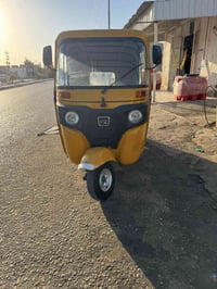 المجر الكبير • ٢٠ شهر • سعر اتصل