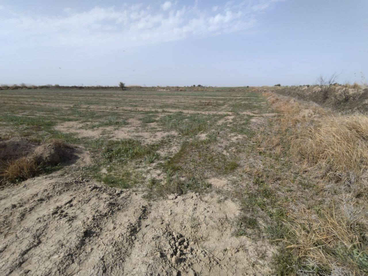 السلام عليكم
دار للبيع مع ارض ٧ دونم
ماء سكي 
 ماء اساله
كهرباء متوفره

مكان واسط قظاء الزبيديه قرية حلب

***********
