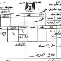 النجف • ١١٣م • عرصة