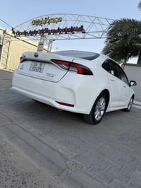 كورولا • ٢٠٢٥ • بصره المشراك