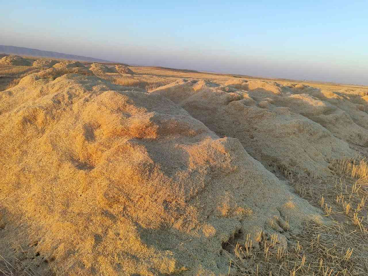 يوجد تبن للبيع سعر العربانه(75) شرط نوع العربانه تركي حجم ممتاز
شكد ما تريد حسب الطلب

***********
