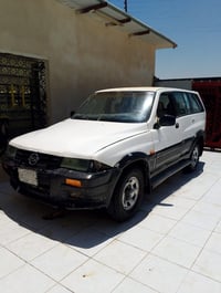 سانج يونج • ١٩٩٦ • بصره الدير