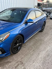 فول مواصفات • وارد امريكي • ٢٠١٨