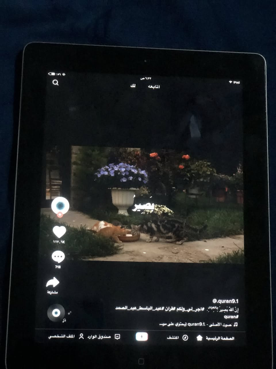 ايباد ابل
ذاكره 16          السعر 50 وبي مجال طب واتساب وتشلع عيوني

جهاز جديد معنه الكلمه ويا كيبل الاصلي مالته

شحن مالته يخبل صار ٣ تيام ما شاحنه 

مكاني بغداد الشعله ***********
