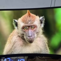 سامسونج • G6 • ٢٤٠هرتز