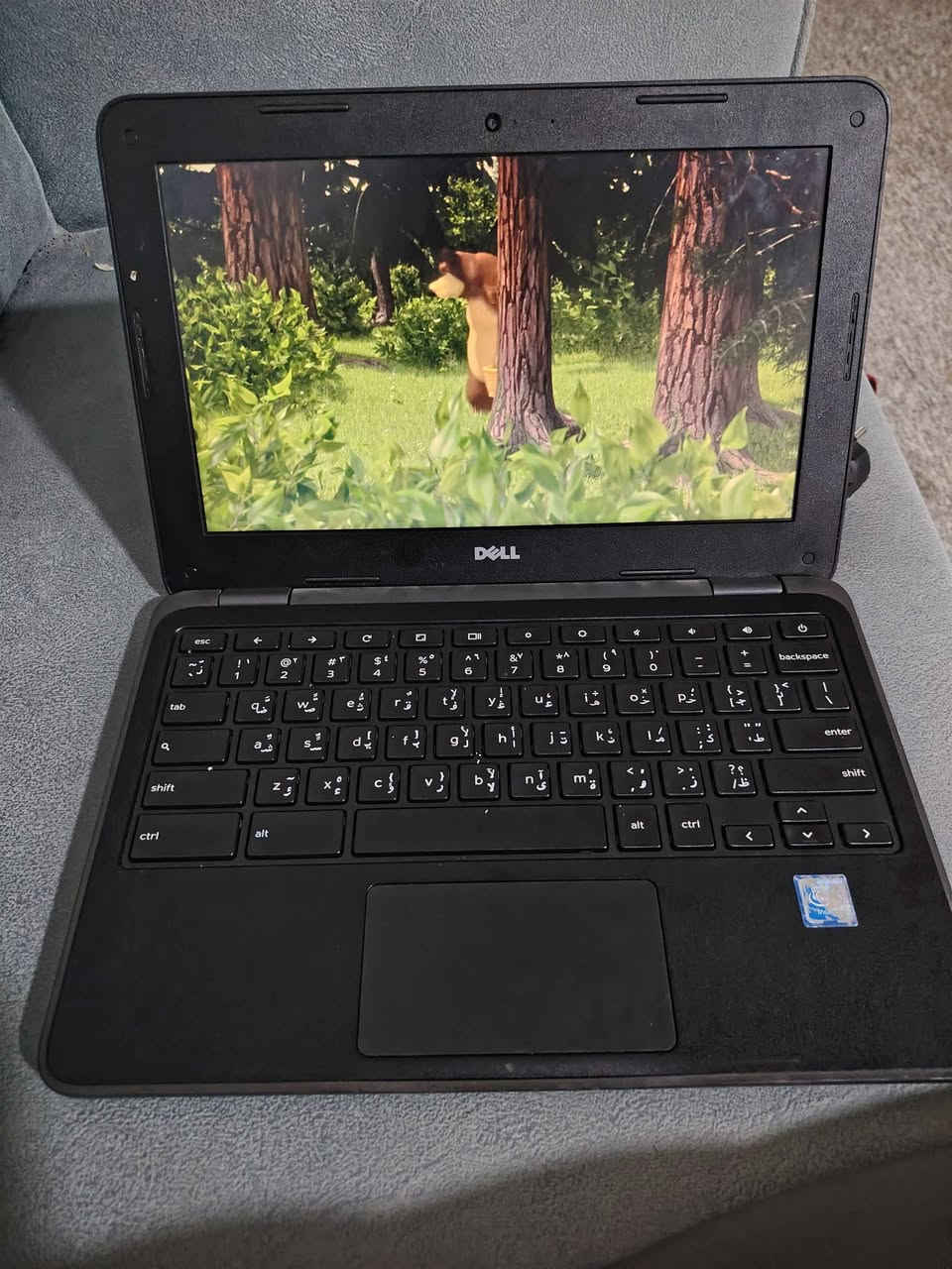 الجهاز جوجل كروم من شركه DEll أ
أخر خمسه قطع للبيع السعر 45,000 مع التوصيل داخل النجف فقط الاجهزه المستخدمه اوروبي ينفع للدراسه والمشاهده اليوتيوب والتيك توك وباقي التطبيقات مع الشاحنه الماوس؟ النجف, العراق


**إذا كنت صاحب هذا الإعلان وتريد حذفه لأي سبب، رجاءا أرسل رسالة إلى الدعم الفني**