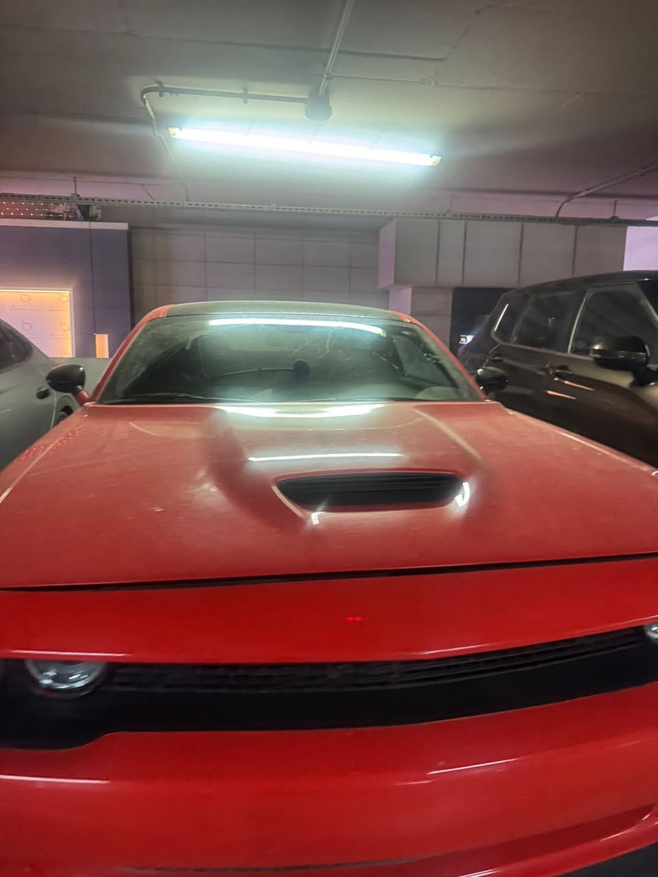 سلام عليكم جالنجرGTللبيع موديل2022 سياره احلا من الصور فول عدا الفتحه وارد امريكي  تحكمات ستيرن  كشنات كنتاره تدفئه وتبريد محرك وكير مكفولات محرك3600سعر135$ مال مستعجل للستفسار لاتصال عله رقم*********** واتسب واتصال
